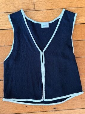 Aritzia Wilfred Basque Sweater Vest Top (Blue and White)